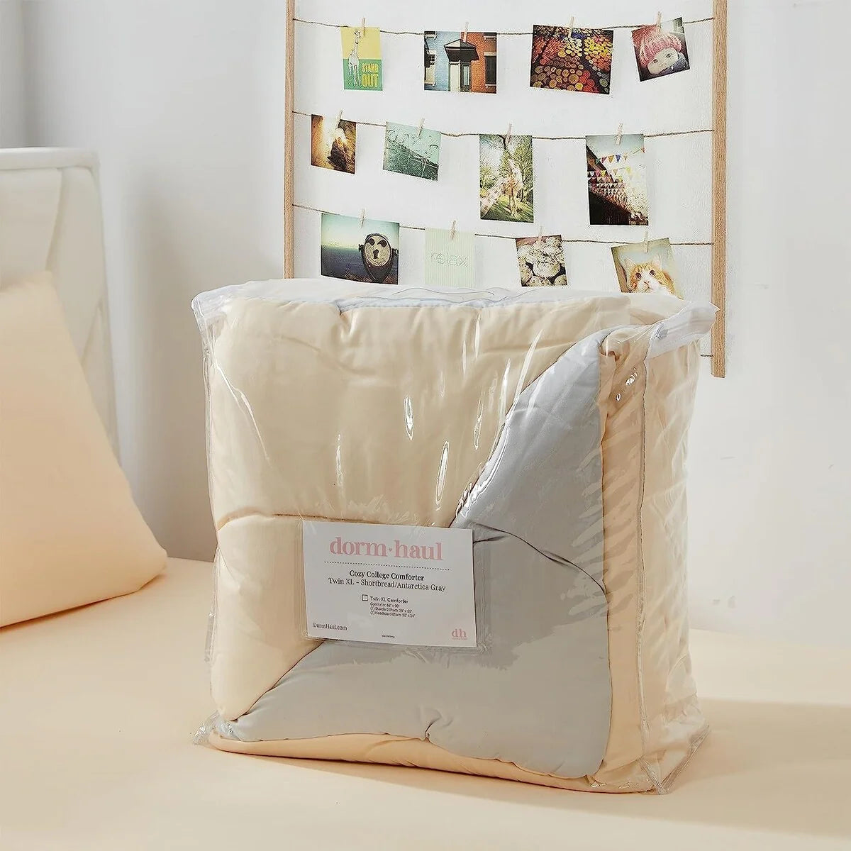 Dorm Haul? - Cozy College Comforter Set - Twin XL Reversible Bedding