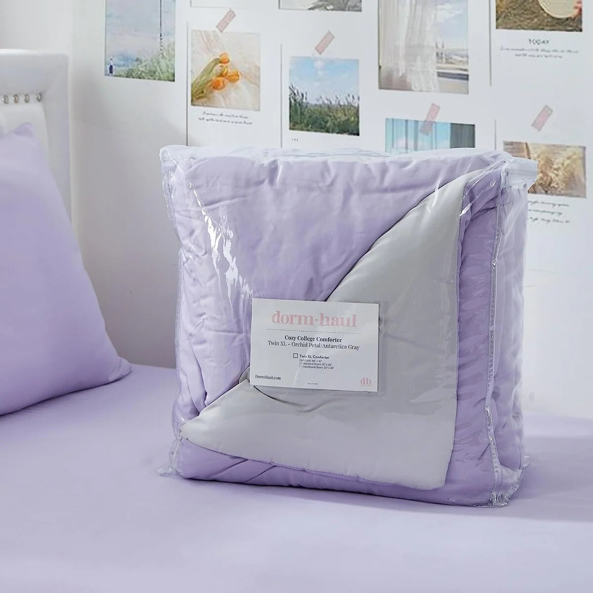 Dorm Haul? - Cozy College Comforter Set - Twin XL Reversible Bedding