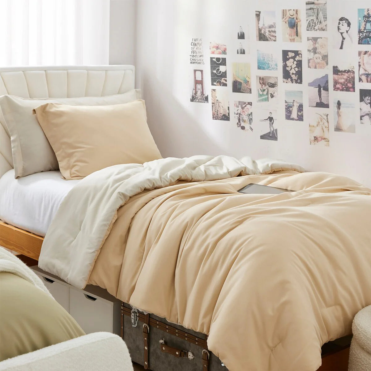 Dorm Haul? - Cozy College Comforter Set - Twin XL Reversible Bedding