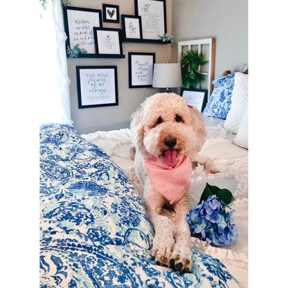 Poppy and Fritz Brooke Cotton Paisley Comforter Set