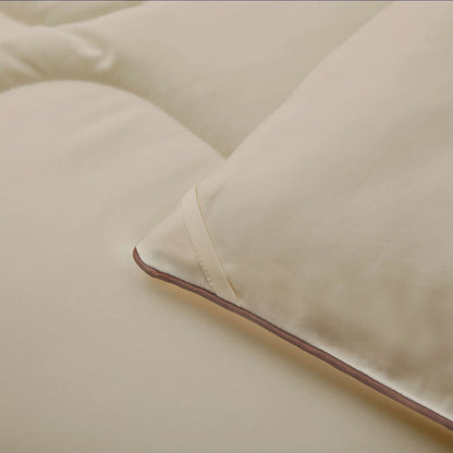 3 Piece Reversible Silky Luxury Soft Satin Comforter with 2 Satin Pillowcases