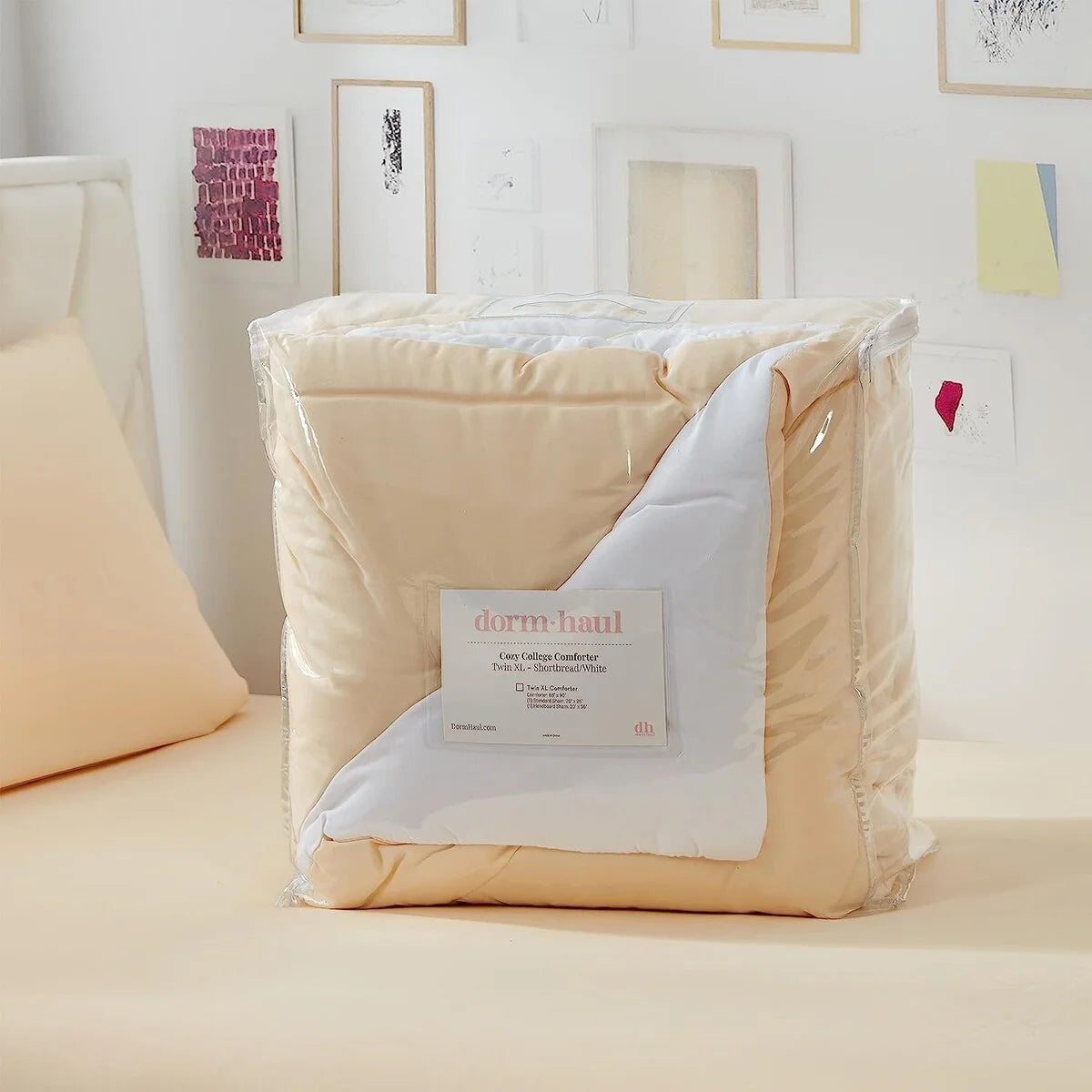Dorm Haul? - Cozy College Comforter Set - Twin XL Reversible Bedding