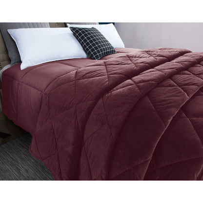 St. James Home Microfiber Comforter and Velvet Blanket Set